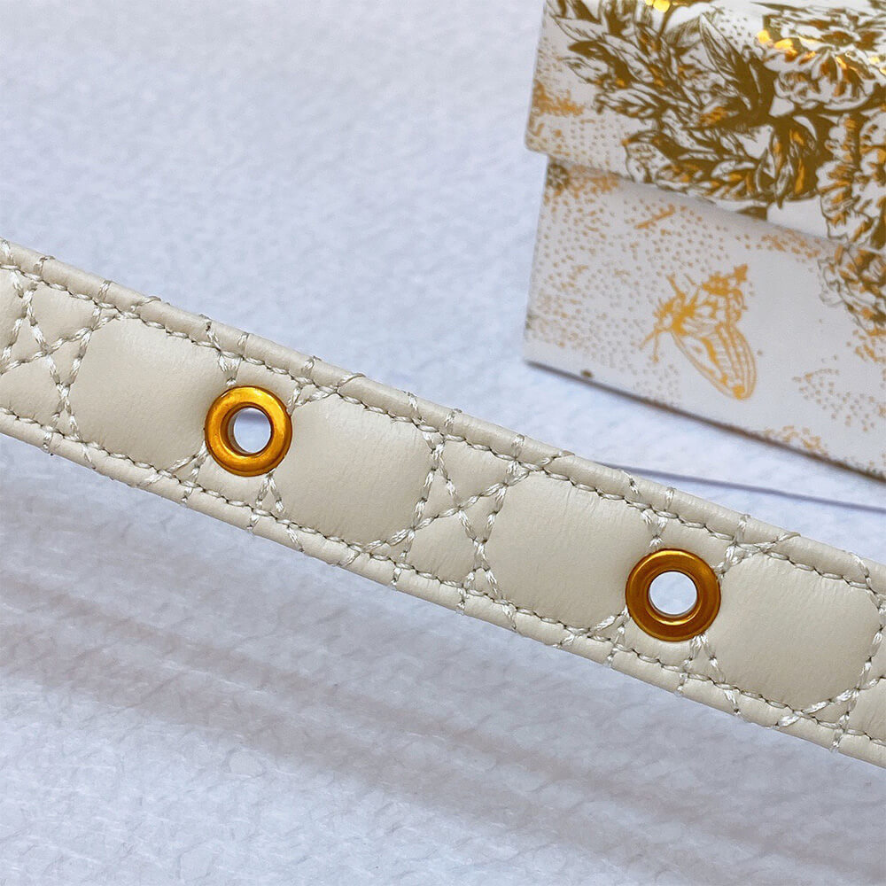 D10r 20mm belt