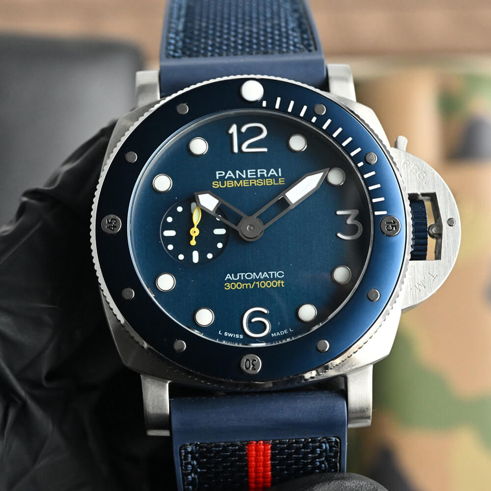 Pa*e*a1 SUBMERSIBLE PAM01676