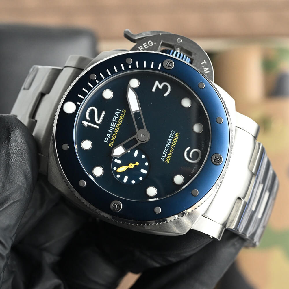 Pa*e*a1 SUBMERSIBLE PAM01676