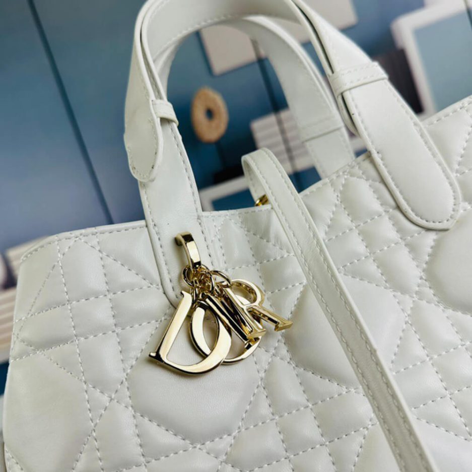 MEDIUM D10r TOUJOURS BAG