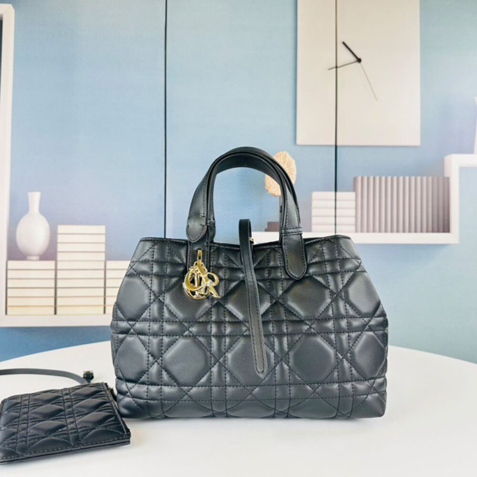 MEDIUM D10r TOUJOURS BAG