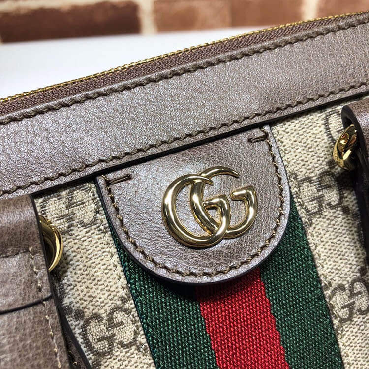 Gvc*1 Ophidia Small Tote Bag