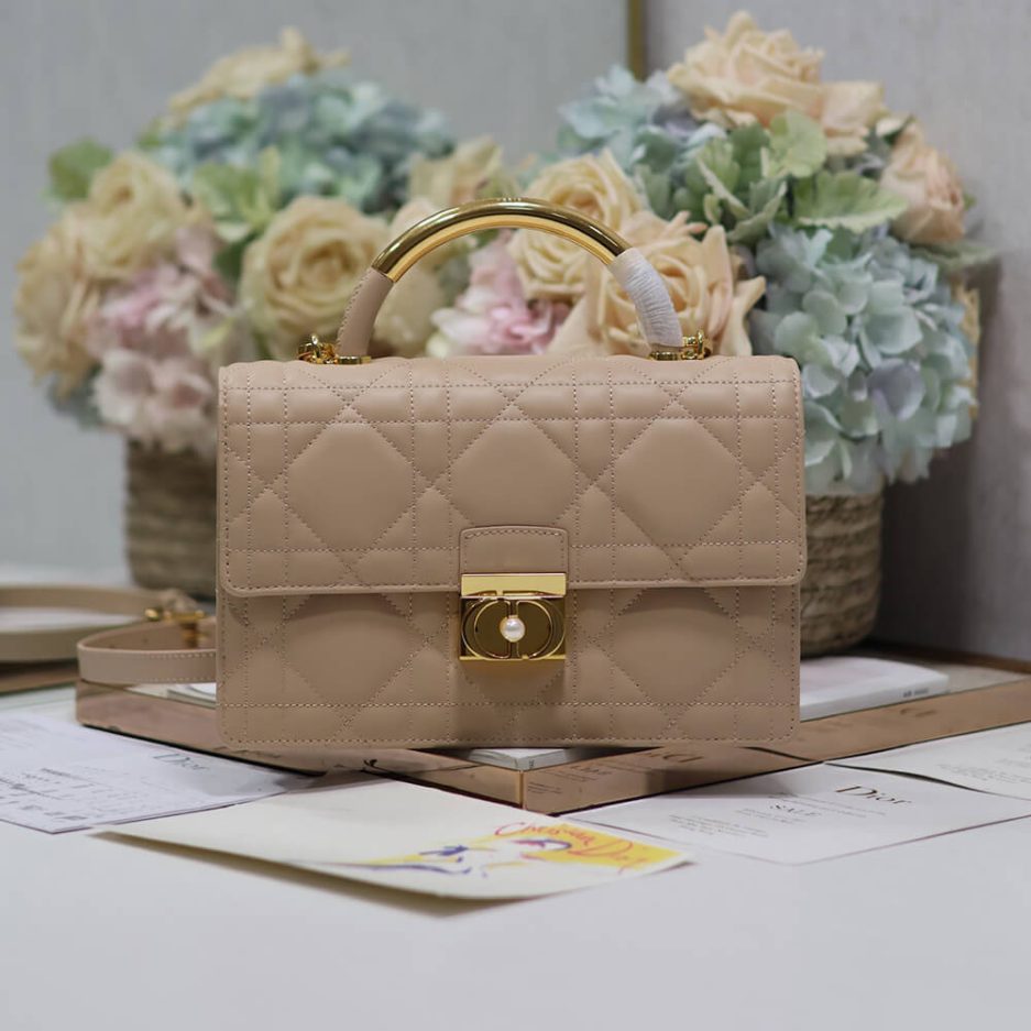 Medium D10r Ange Bag