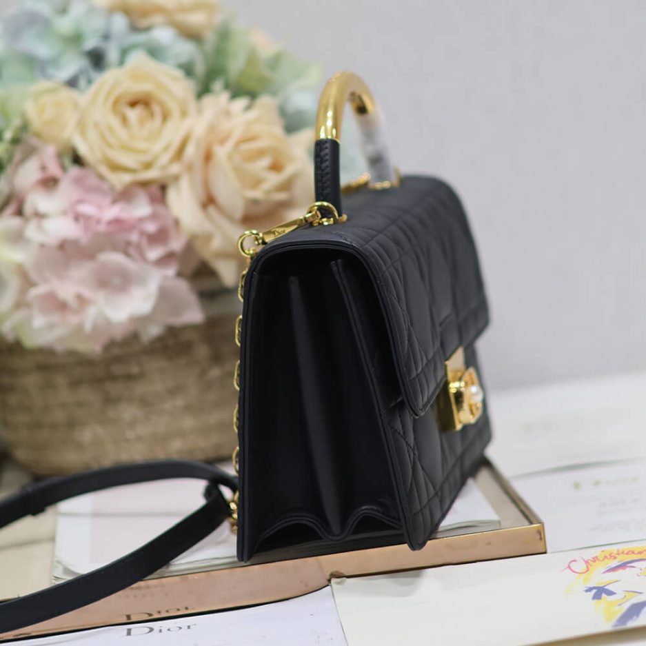 Medium D10r Ange Bag