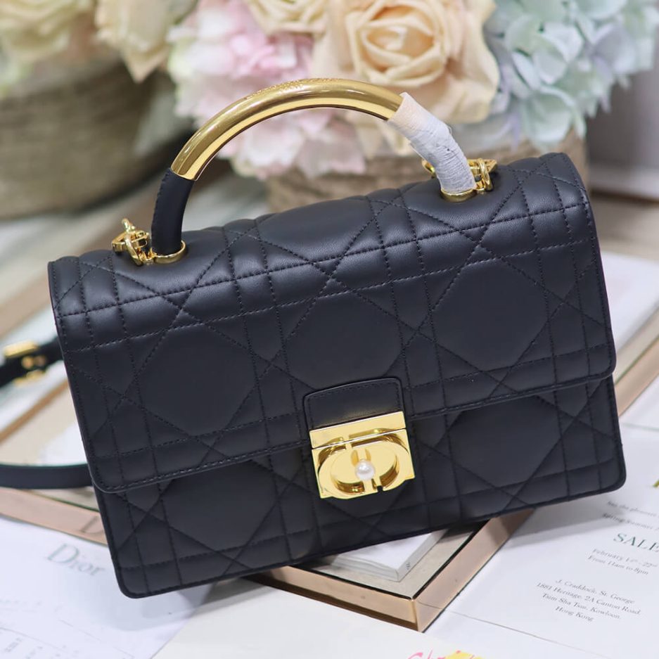 Medium D10r Ange Bag