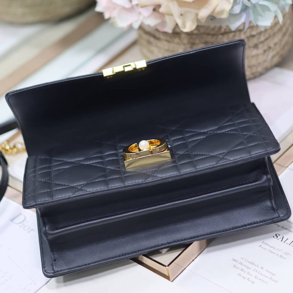 Medium D10r Ange Bag