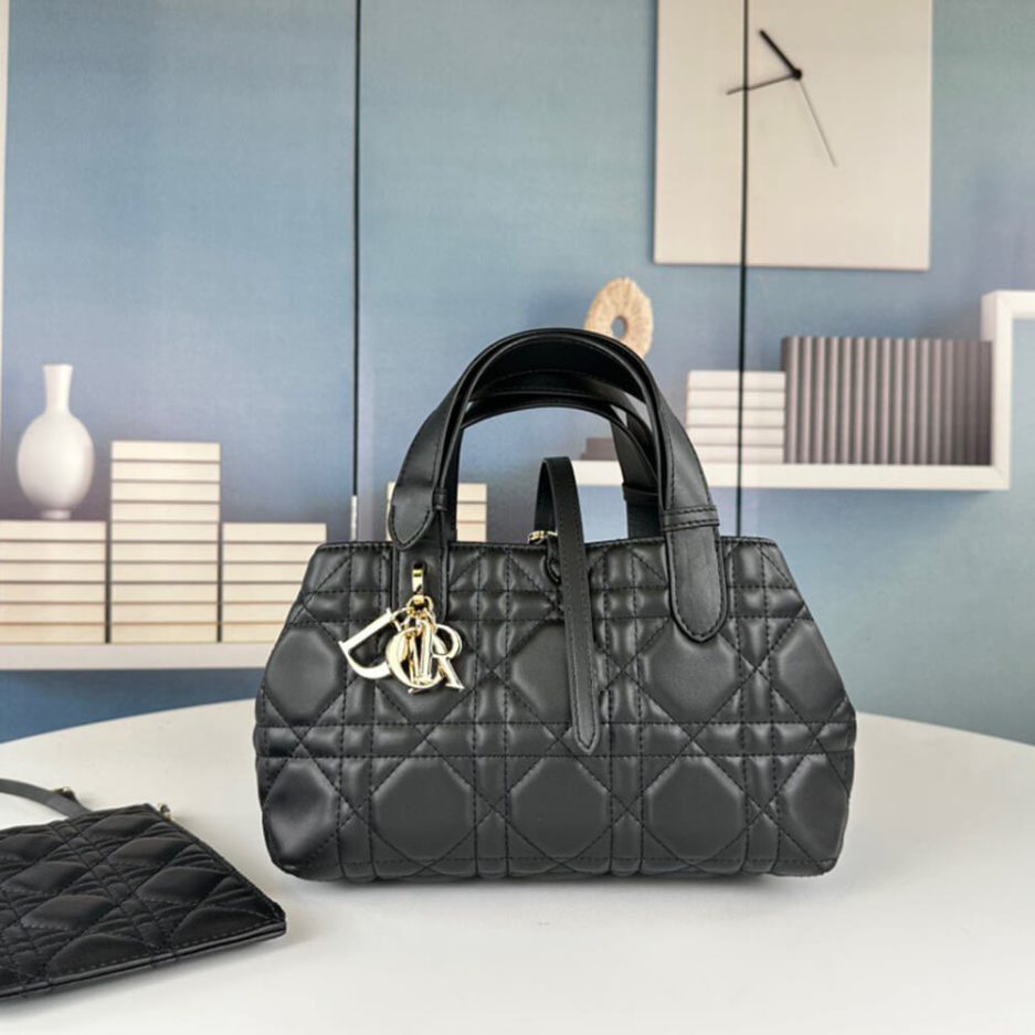 SMALL D10r TOUJOURS BAG