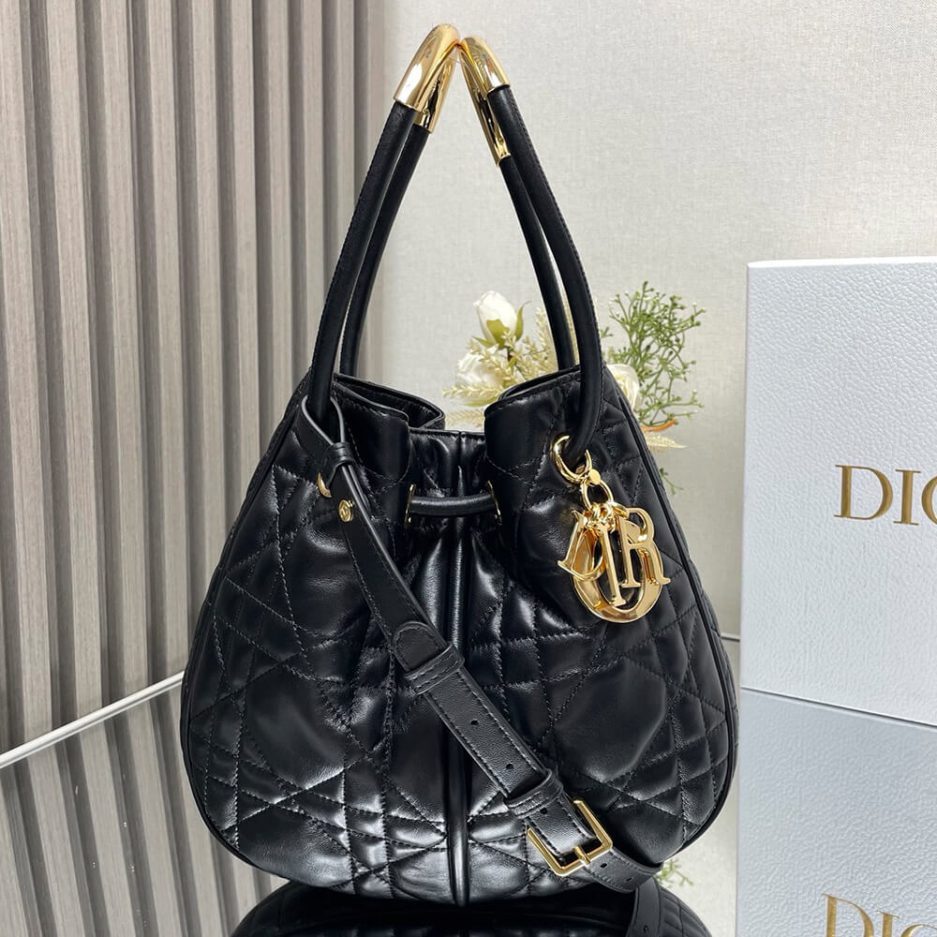 Medium D10r Nolita Bag