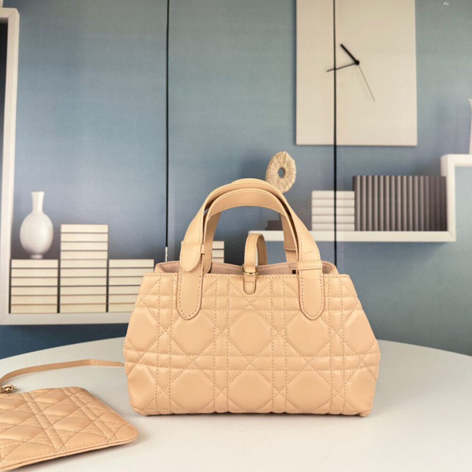 SMALL D10r TOUJOURS BAG