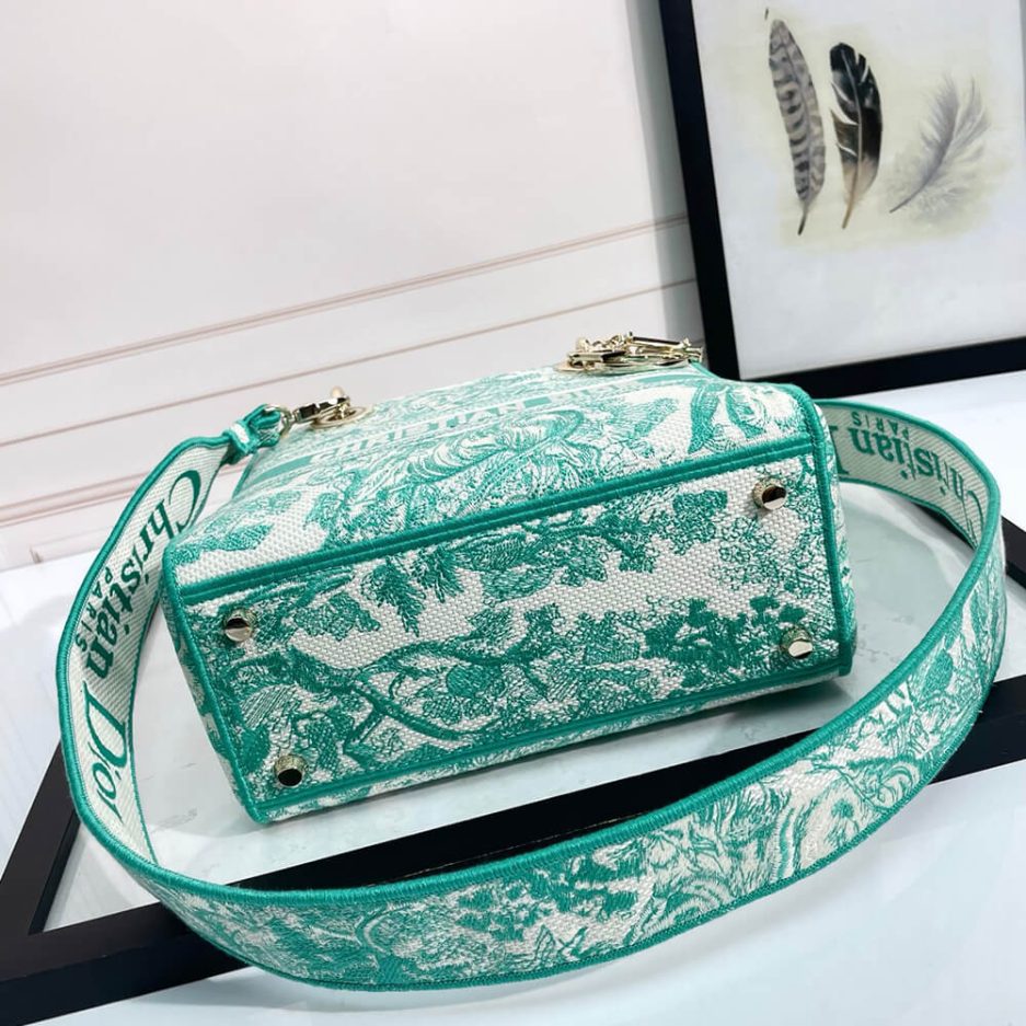 Medium D10riviera Lady D-Lite Bag