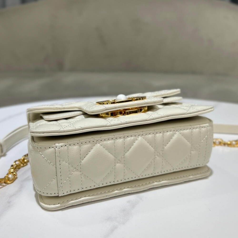Small D10r Jolie handbag