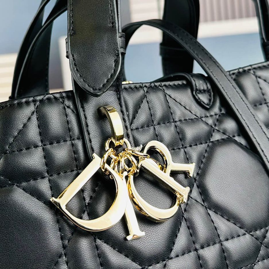 SMALL D10r TOUJOURS BAG