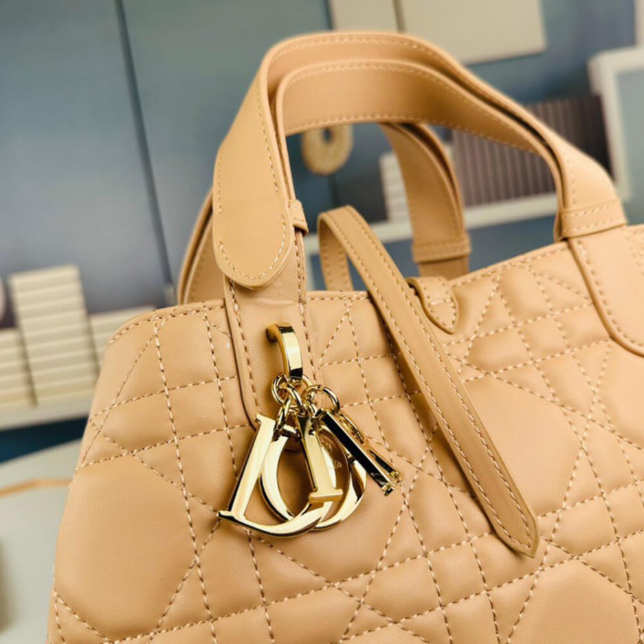 SMALL D10r TOUJOURS BAG