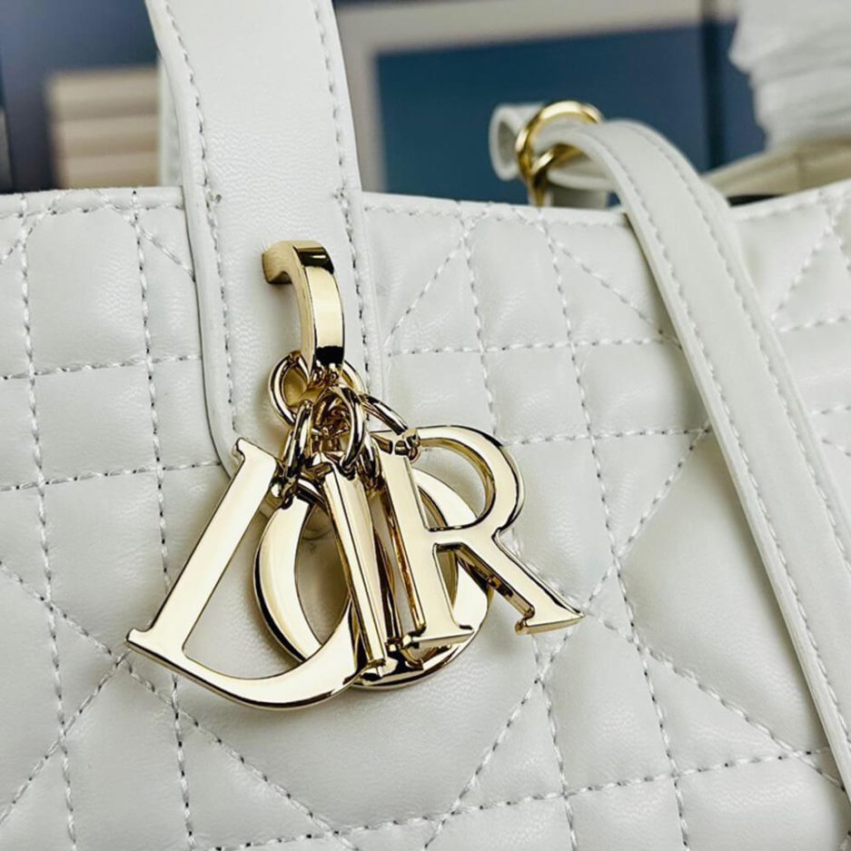 SMALL D10r TOUJOURS BAG