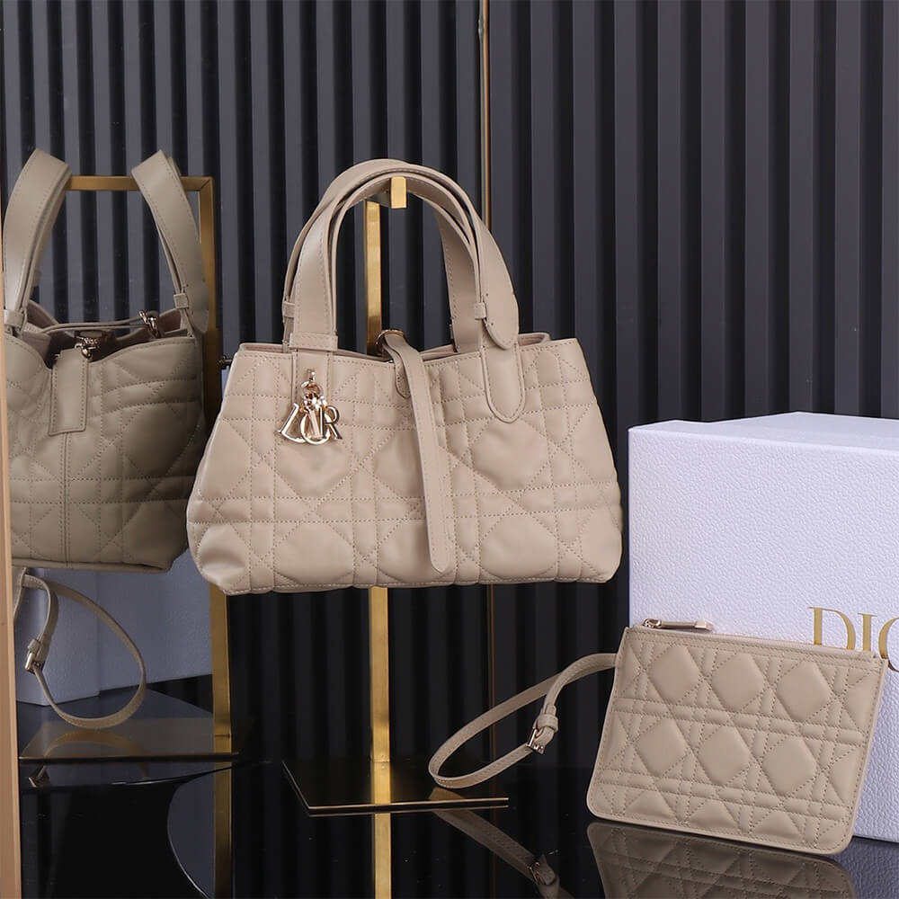 SMALL D10r TOUJOURS BAG(HIGH-END GRADE)