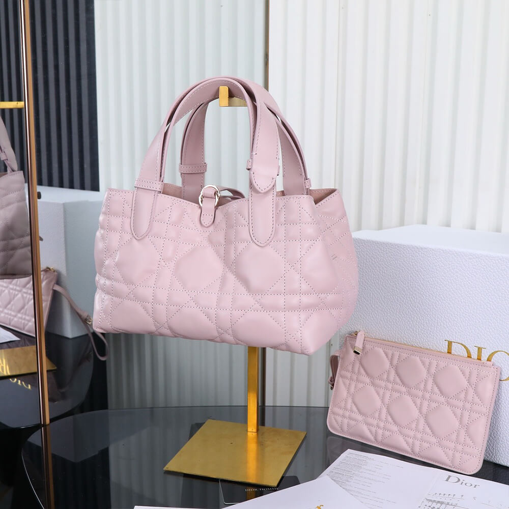 SMALL D10r TOUJOURS BAG(HIGH-END GRADE)