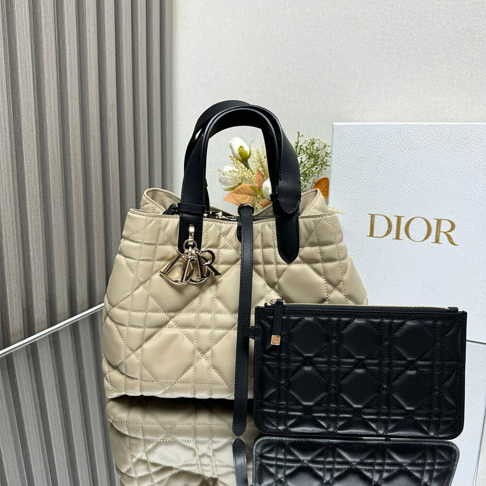 Medium D10r Toujours Bag