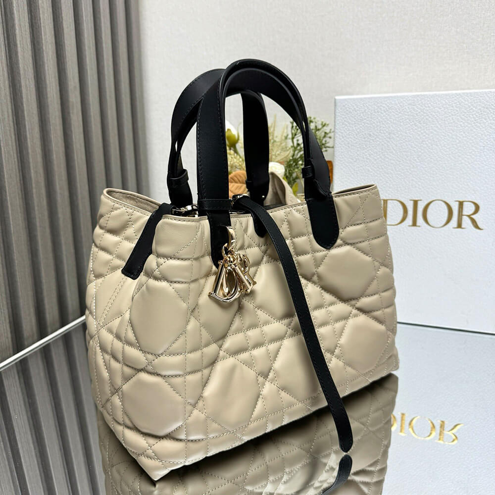 Medium D10r Toujours Bag