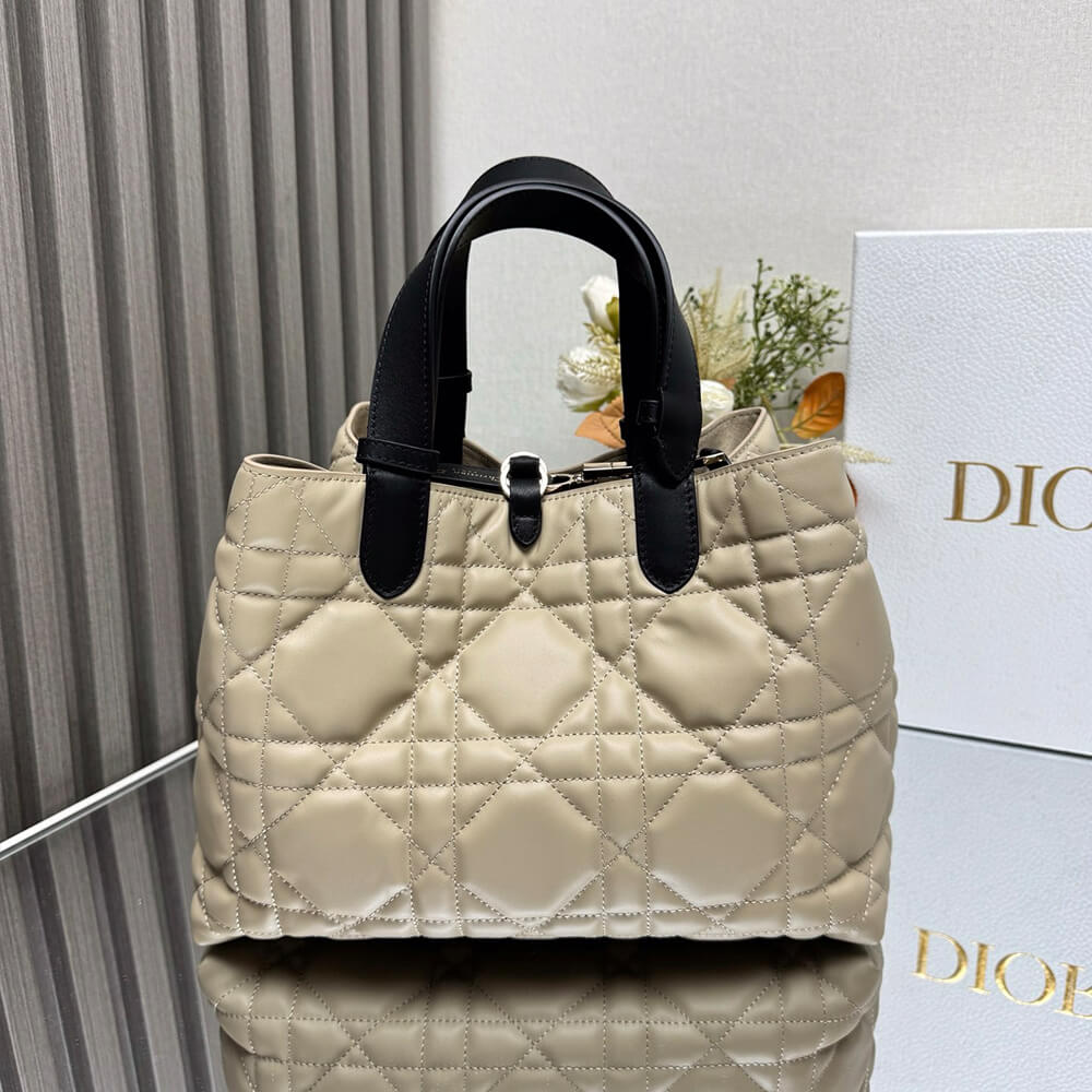 Medium D10r Toujours Bag