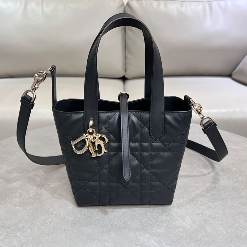 Small D10r Toujours Vertical Tote Bag