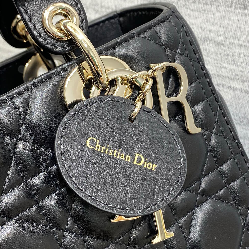 Medium Lady D10r Bag